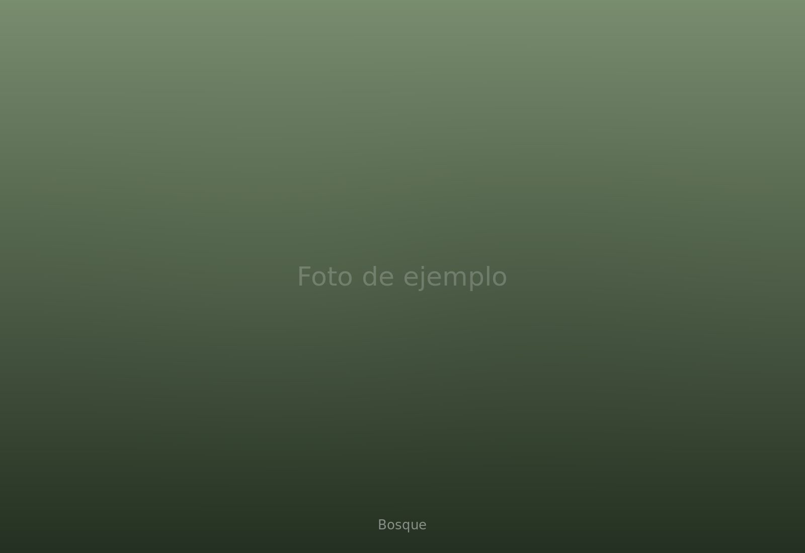 Loft del Bosque