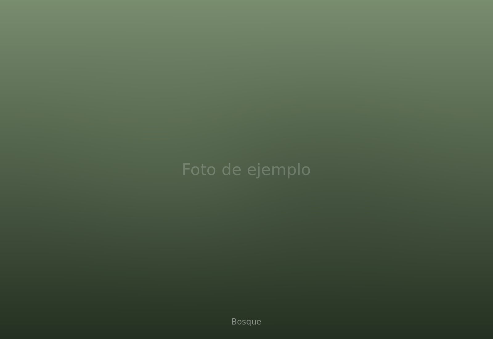 Loft del Bosque