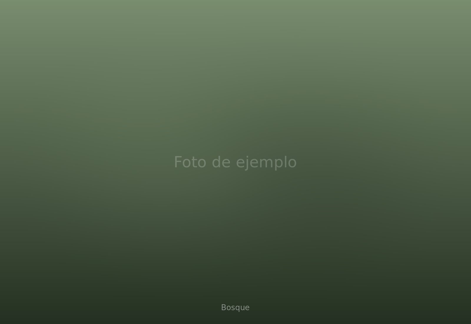 Loft del Bosque
